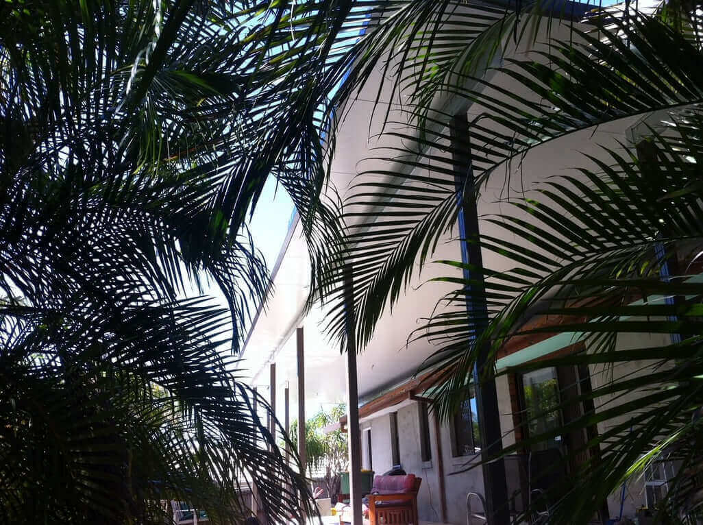 Attached patio roof creating a shaded outdoor area, viewed through tropical palm leaves beside a home