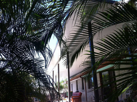 DIY Kit: V-Line Single Skin Patio/Carport Attached To Timber Wall 11 x 1.4m